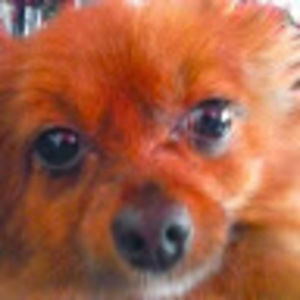 Meet your Posher, Marcus